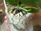 Субстрат для орхидей Пеностекло универсальный GrowPlant 10-20 мм 5 л 2