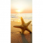 Настінний картина-обігрівач Shine 100x50 см Морська зірка